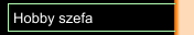 Hobby szefa