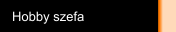 Hobby szefa